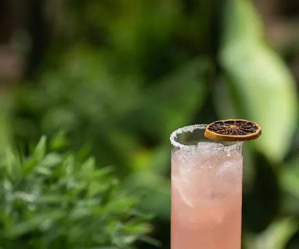 Soho Exclusive Hotel apartamentowy 4*